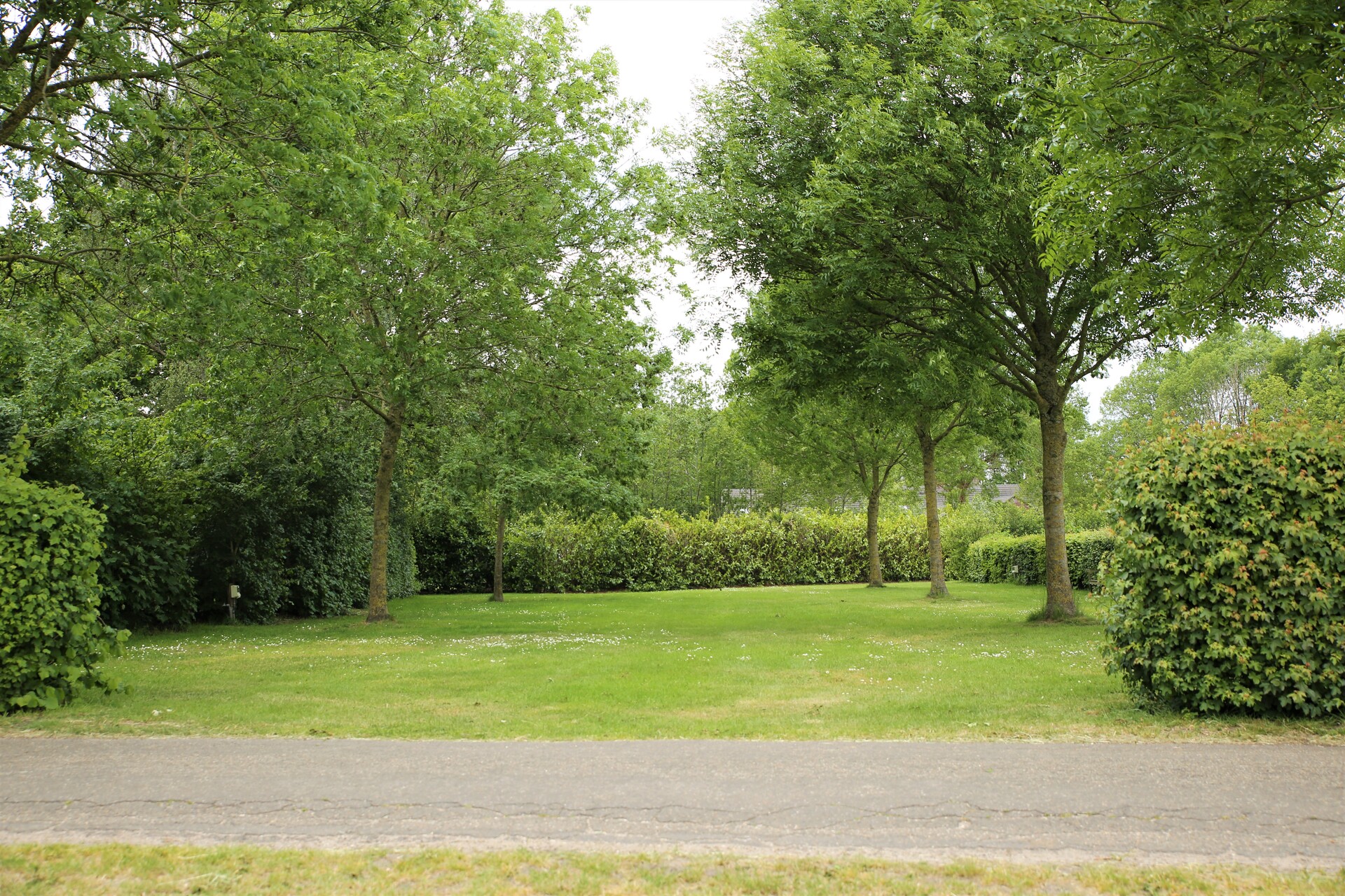 Golf / Frisbee bij de boer