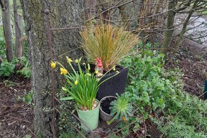 Mini-camping De Esrand is weer geopend vanaf 1 maart 2025